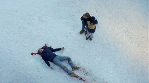 Backdrop for Anatomy of a Fall